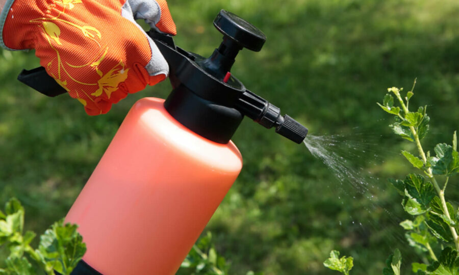 TIPY jak se zbavit škůdců