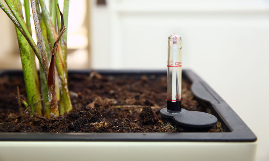 Jak na samozavlažovací truhlíky