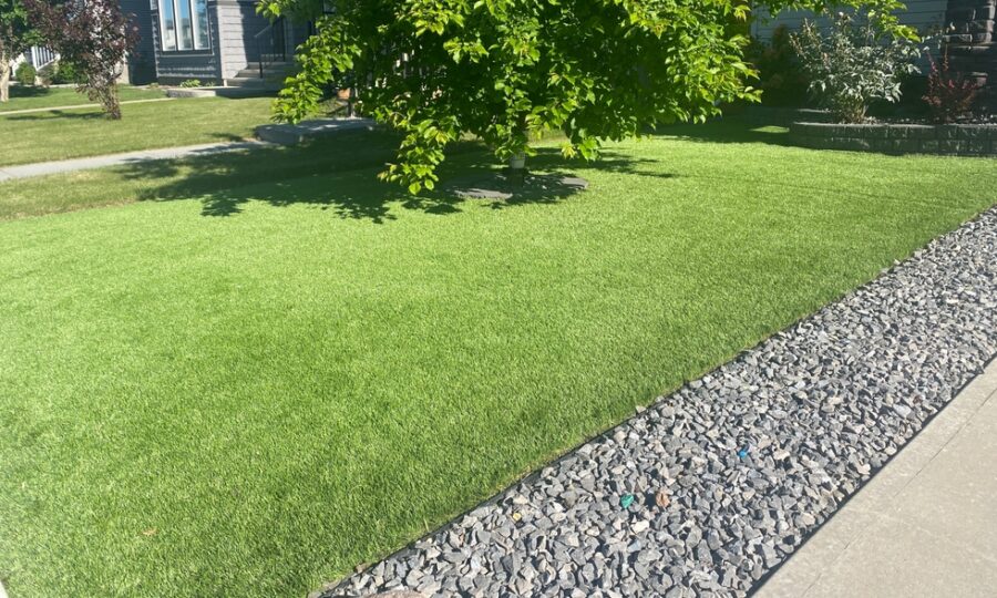 Recept na krásný zelený koberec