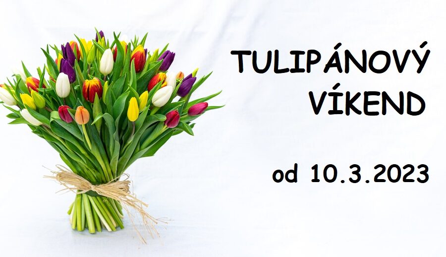 TULIPÁNOVÝ VÍKEND s čerstvými HOLANDSKÝMI TULIPÁNY