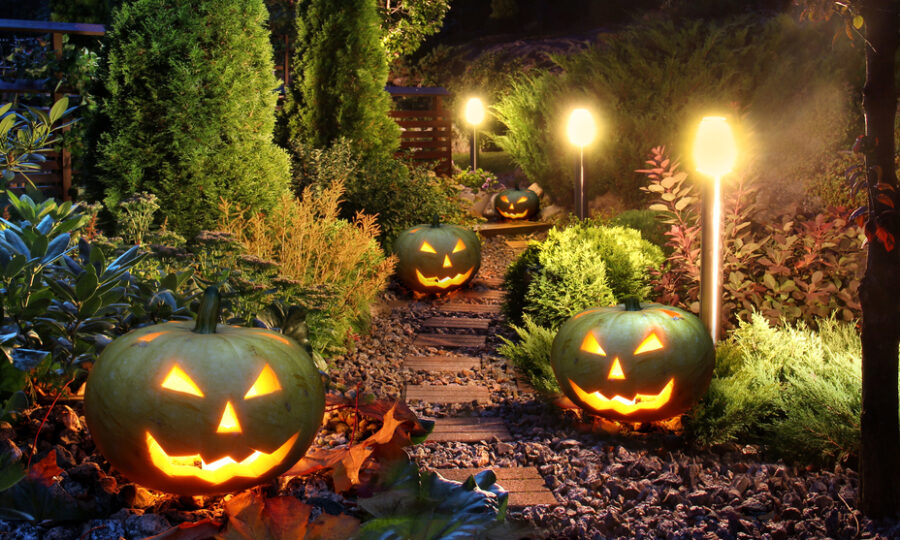 Halloweenské dýňové slavnosti 14.-15. října