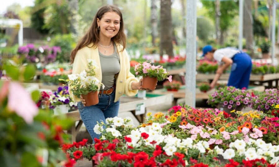 Balkonové květiny 2026: jak vybrat muškáty, petúnie a pelargonie, aby balkon kvetl celé léto