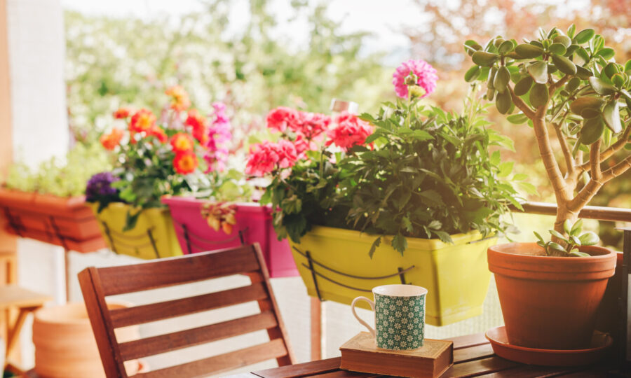 Inspirace pro truhlíky