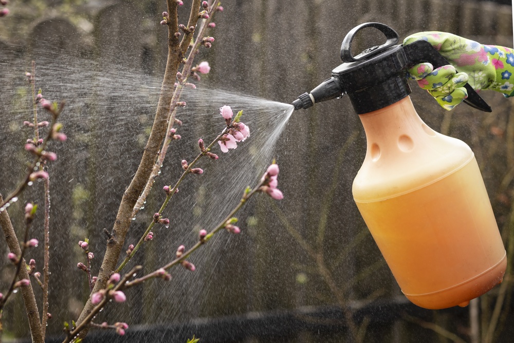 Preventivní postřik proti kadeřavosti